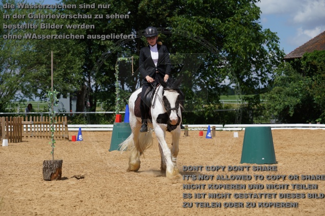 s_K3F05950.JPG